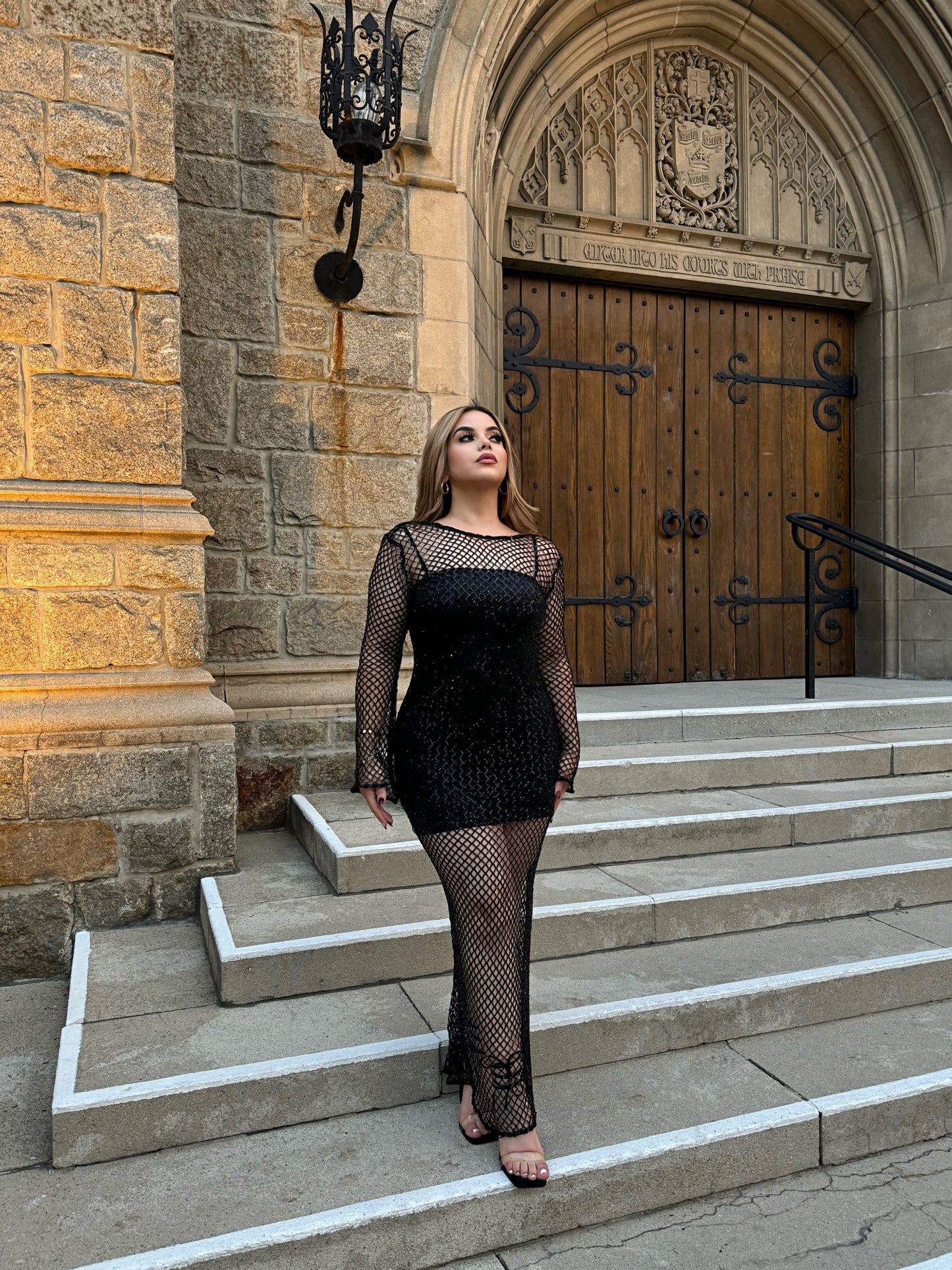 The catch sequin dress (2 piece)