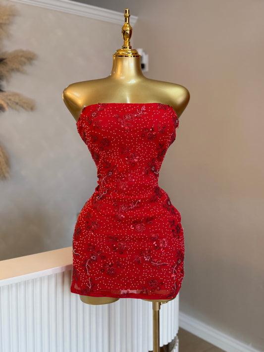 Red romance sequin dress