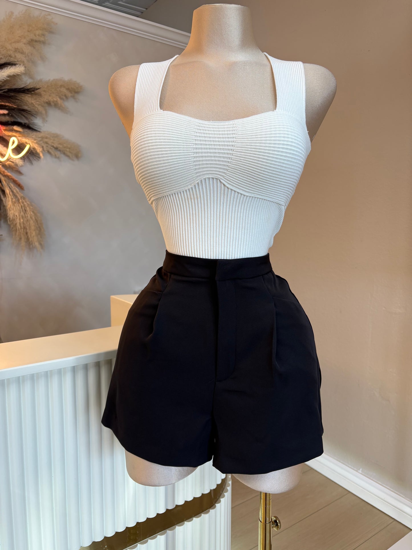 High waisted shorts (3 colors)