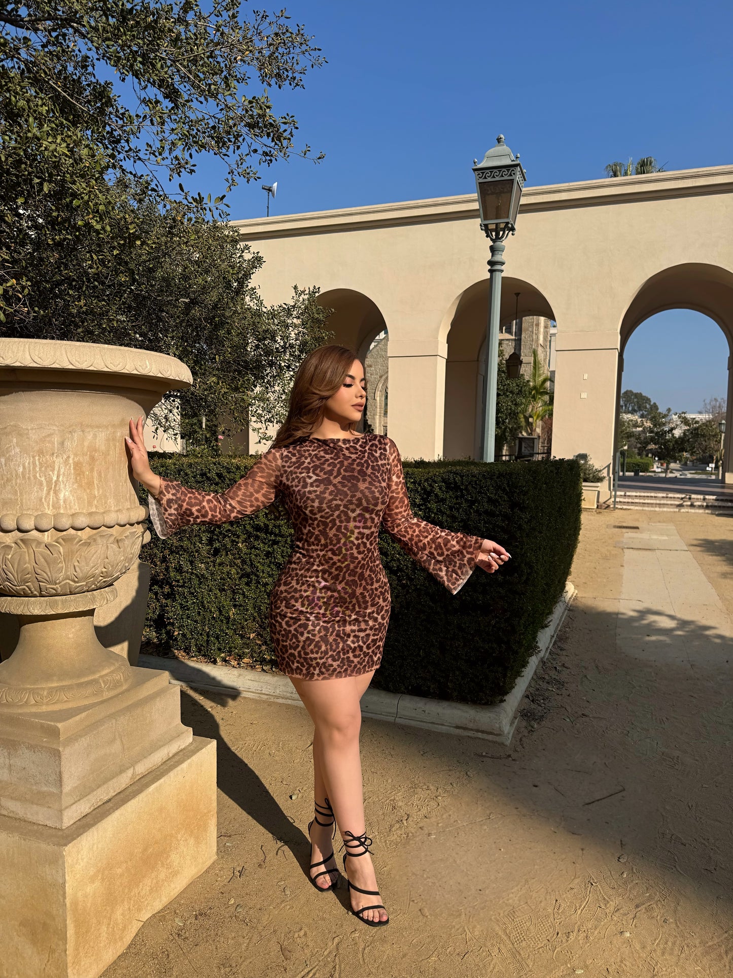 Mesh cheetah dress