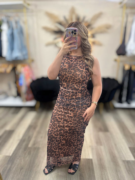 Mesh cheetah set