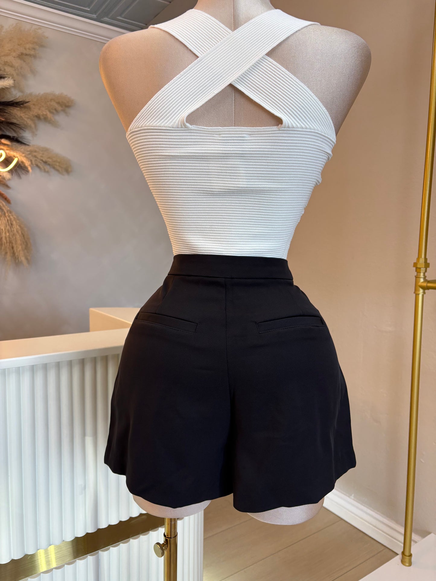 High waisted shorts (3 colors)